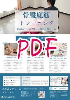 チラシPDF